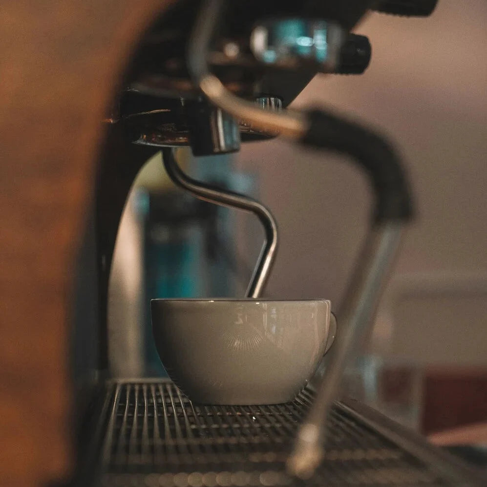 A close-up shot of a white ceramic espresso cup sitting on the drip tray of a dark coffee machine with a metal steam wand in the foreground.