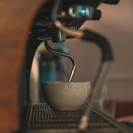A close-up shot of a white ceramic espresso cup sitting on the drip tray of a dark coffee machine with a metal steam wand in the foreground.