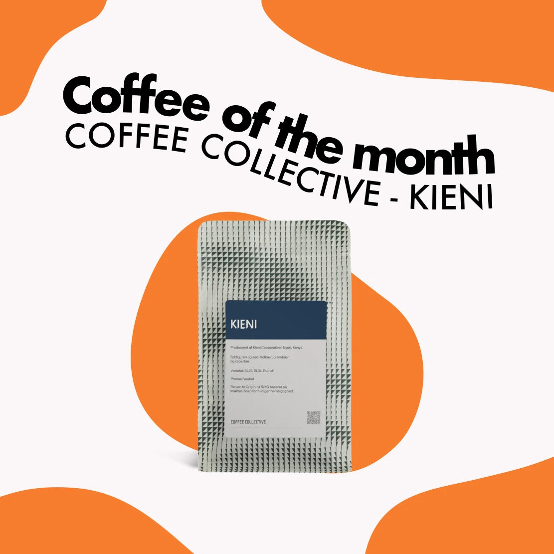 Coffee of the month banner featuring elegant KIENI by COFFEE COLLECTIVE package.