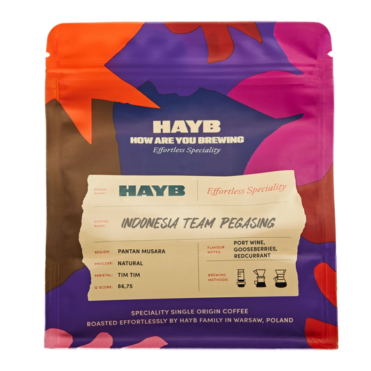 Specialty coffee beans – HAYB Indonesia Team Pegasing package with colorful design
