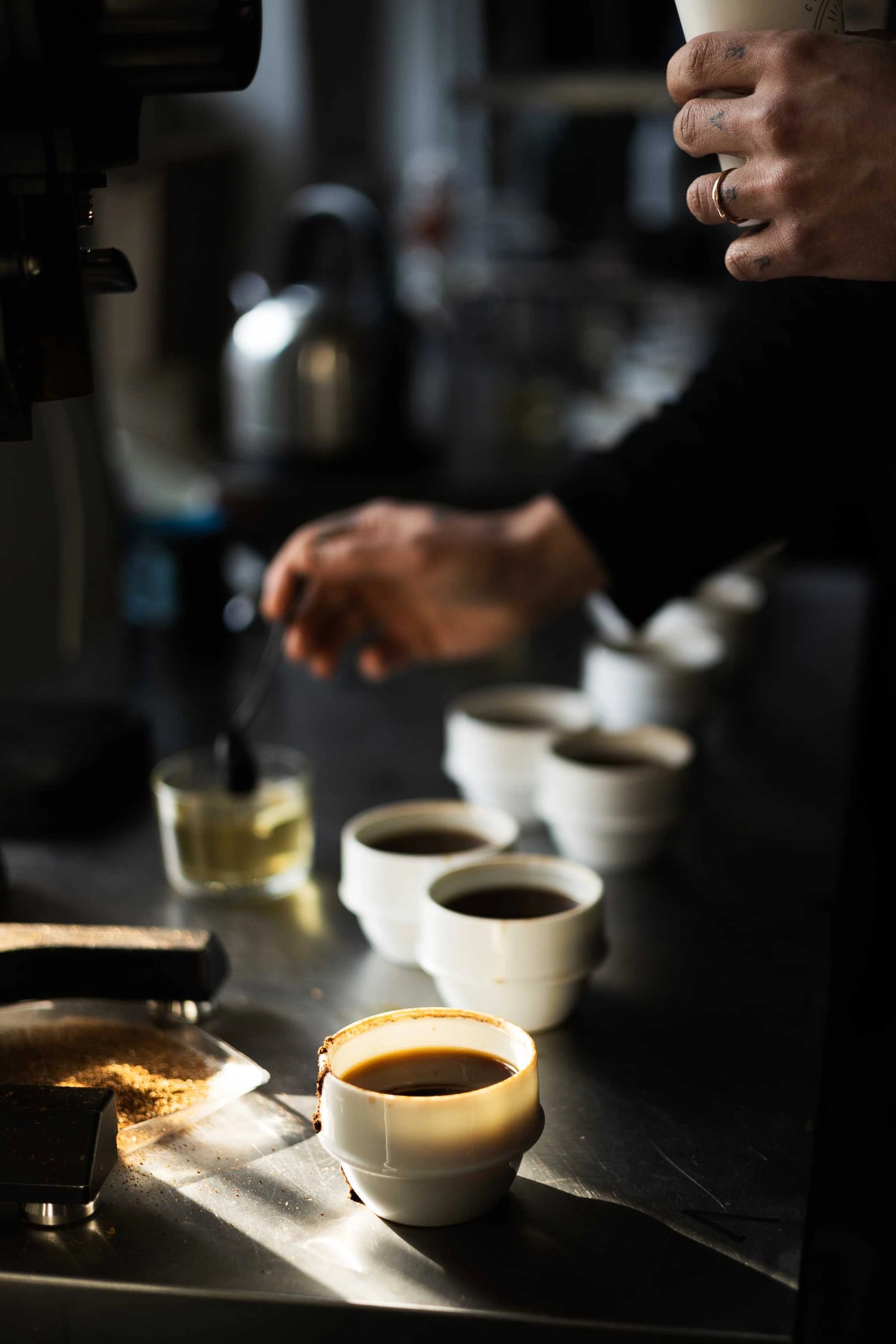 Close-up of white cups filled with coffee lined up on a metal counter for a tasting session.