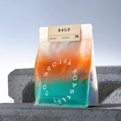 Gradient coffee bag with 'Spojka Roastery' branding on a concrete surface.