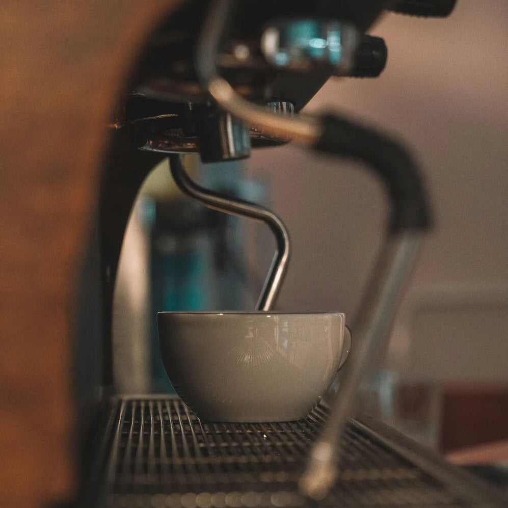 A close-up shot of a white ceramic espresso cup sitting on the drip tray of a dark coffee machine with a metal steam wand in the foreground.