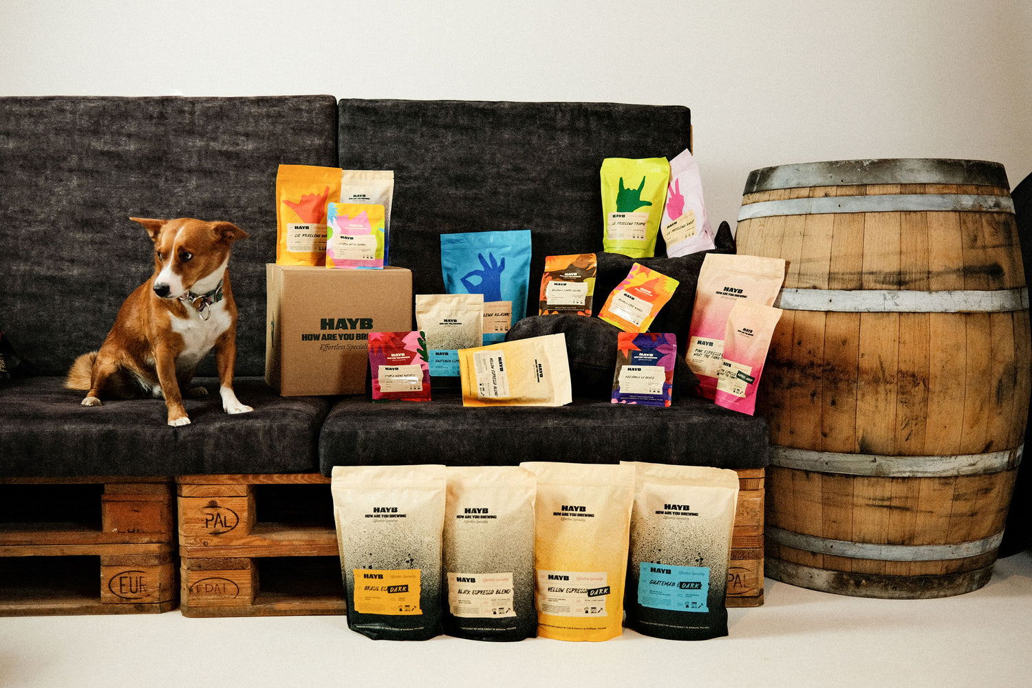 Dog sitting on a couch with various coffee packages and barrel in the background
