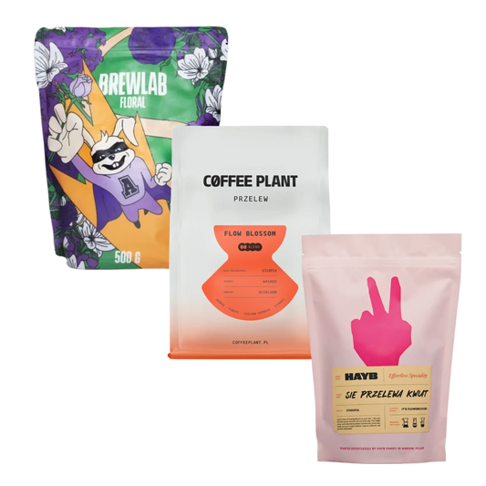 Three coffee bags from different brands on a white background